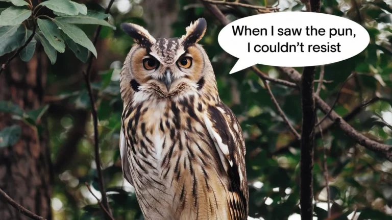 Owl Puns