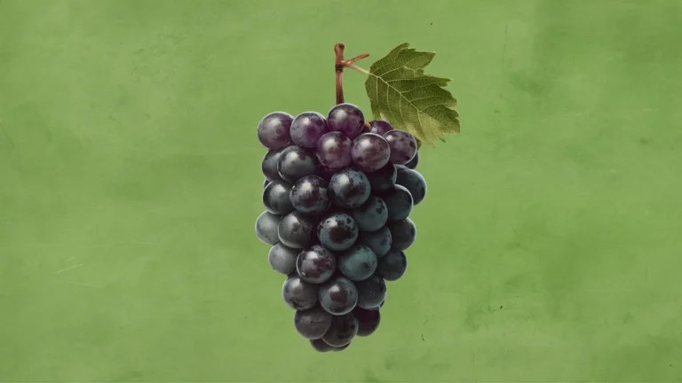 Grape Puns