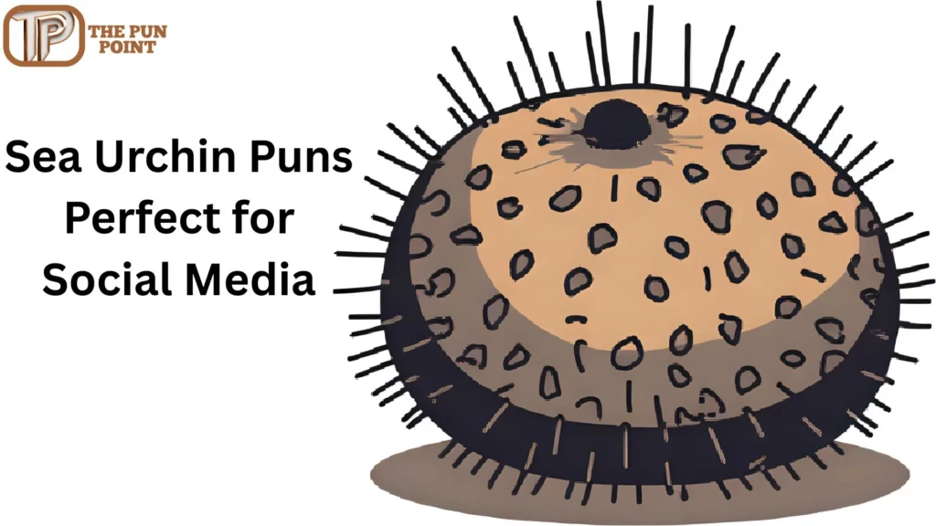 Sea Urchin Puns Perfect for Social Media