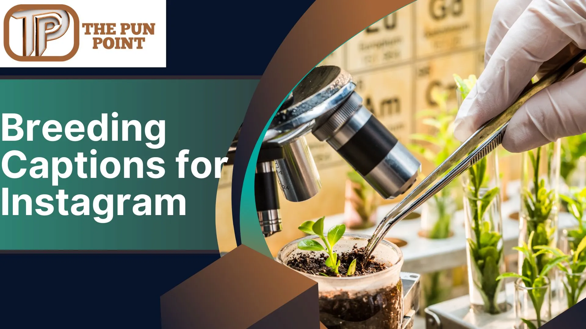 Breeding Captions for Instagram