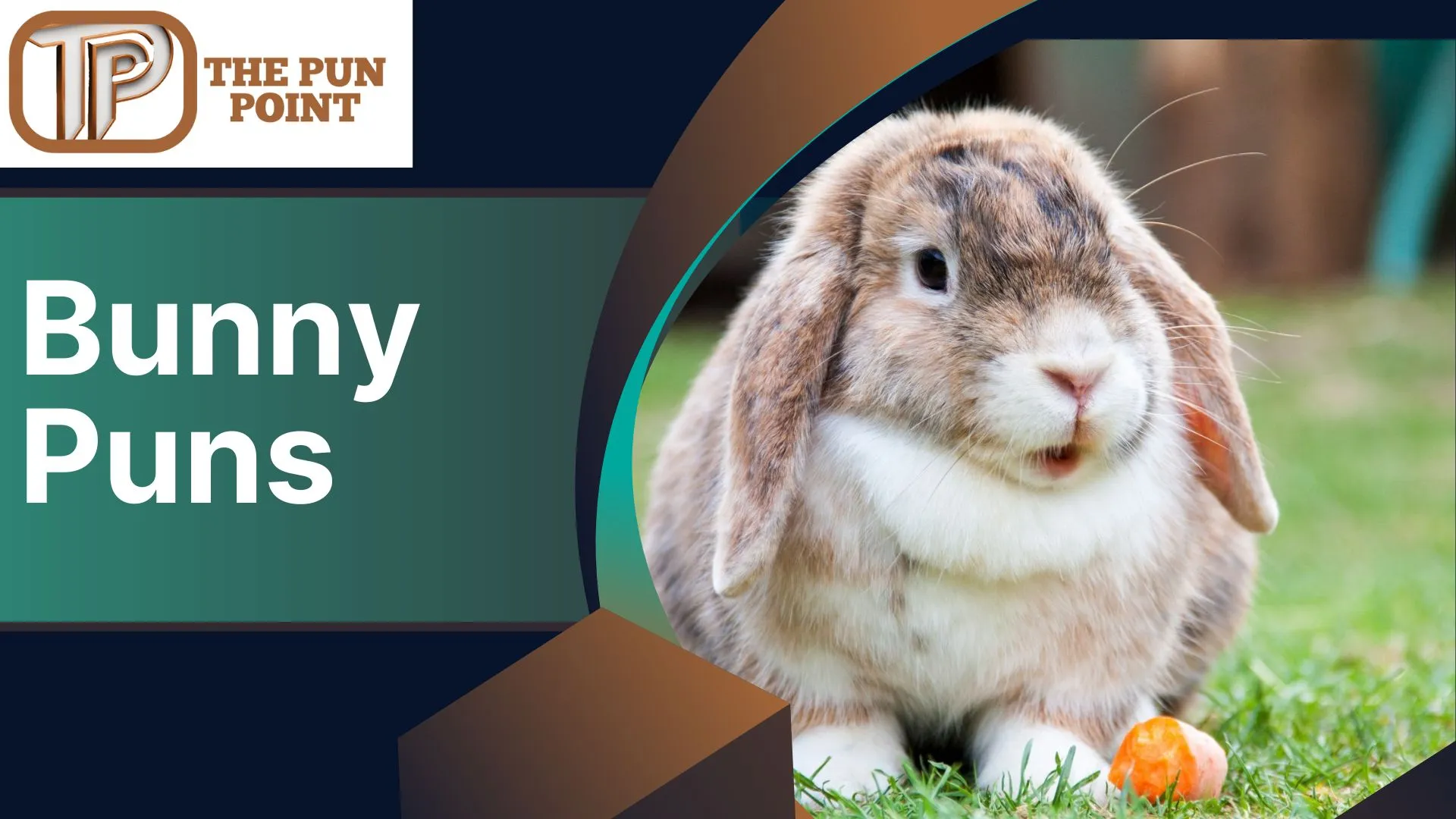 Bunny Puns