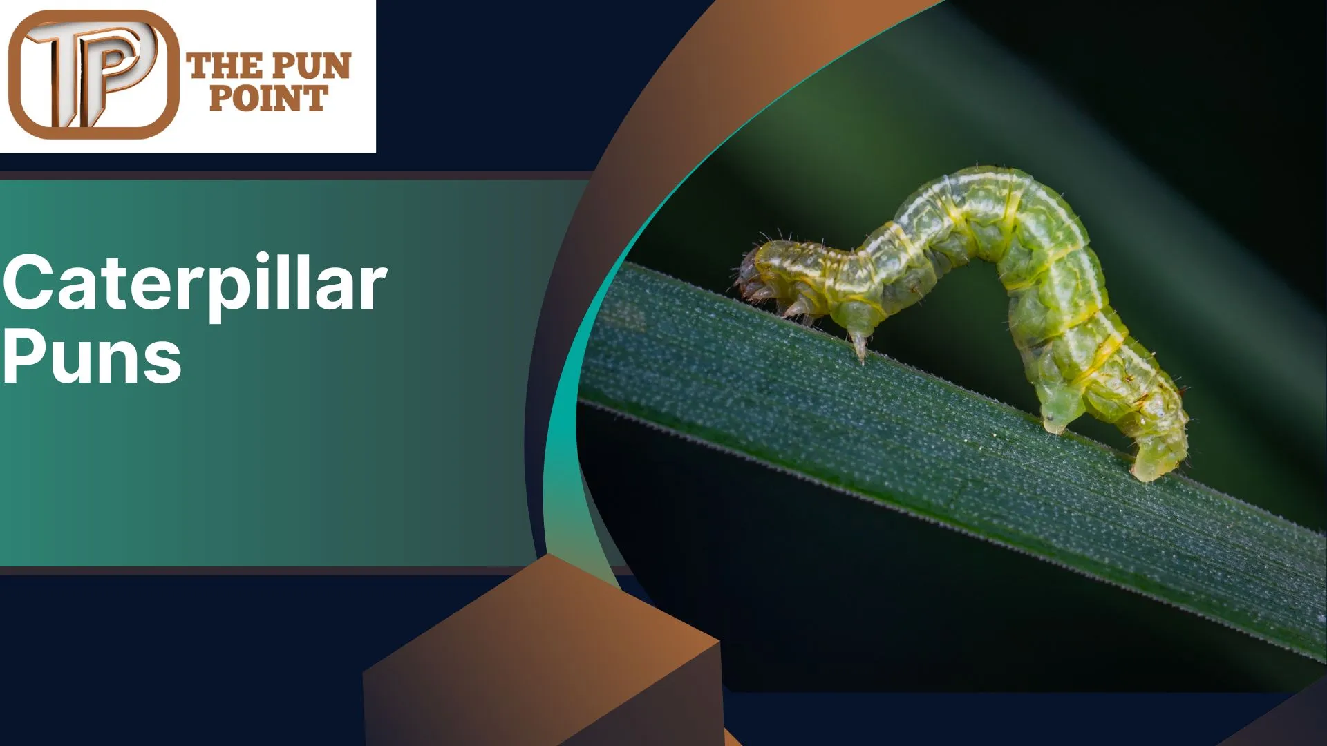 Caterpillar Puns