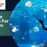 Aquarium Captions For Instagram
