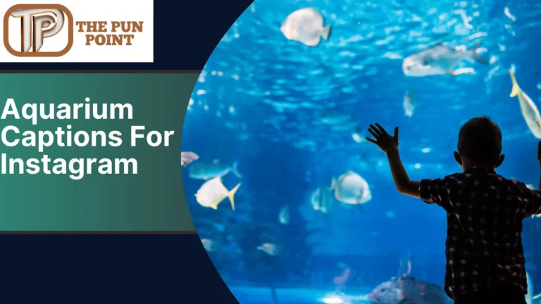 Aquarium Captions For Instagram