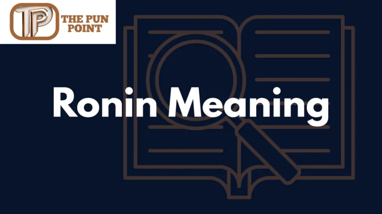 Ronin Meaning