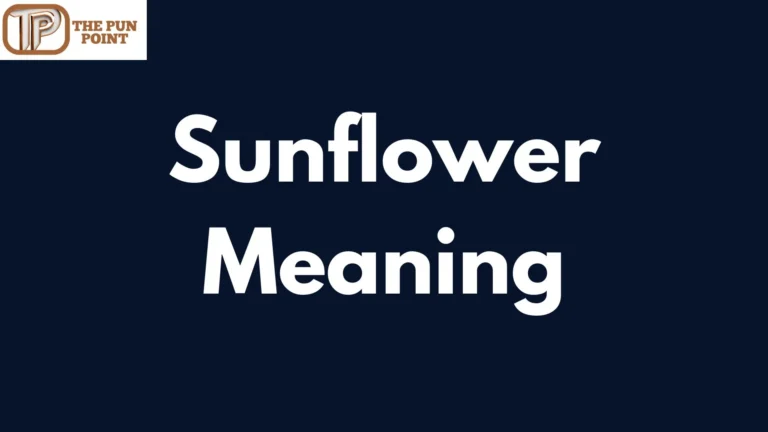 Sunflower Meaning