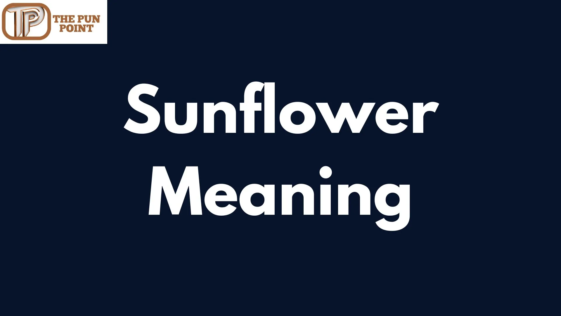 Sunflower Meaning