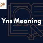 Yns Meaning