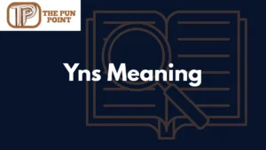 Yns Meaning